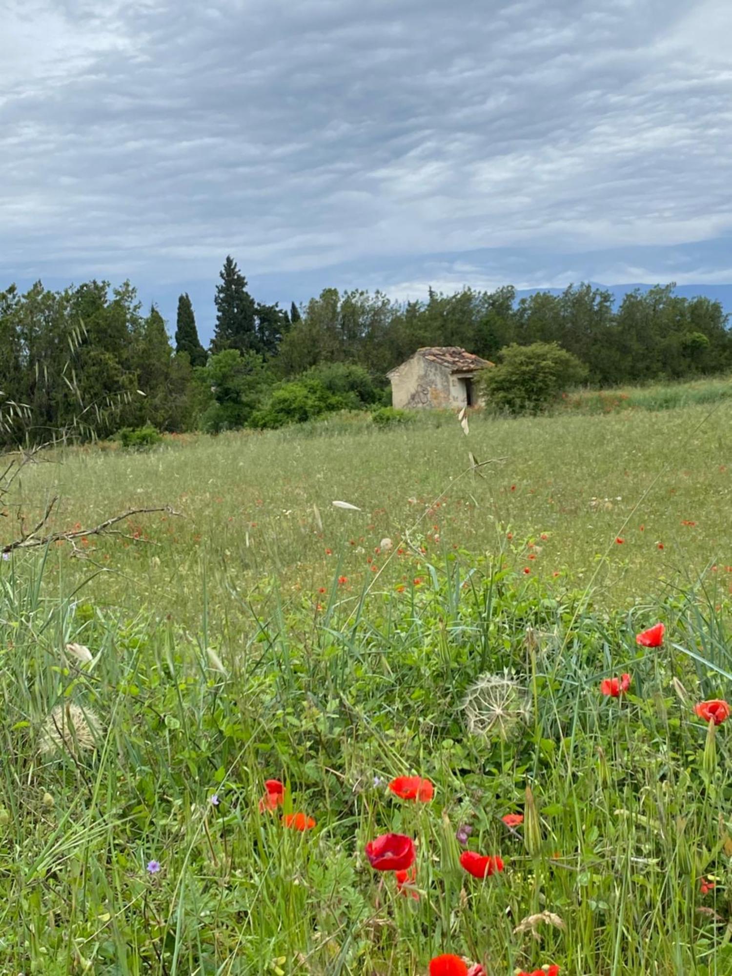 Inspiration Maison Entiere Avec Jardin Pernes-les-Fontaines Exteriör bild